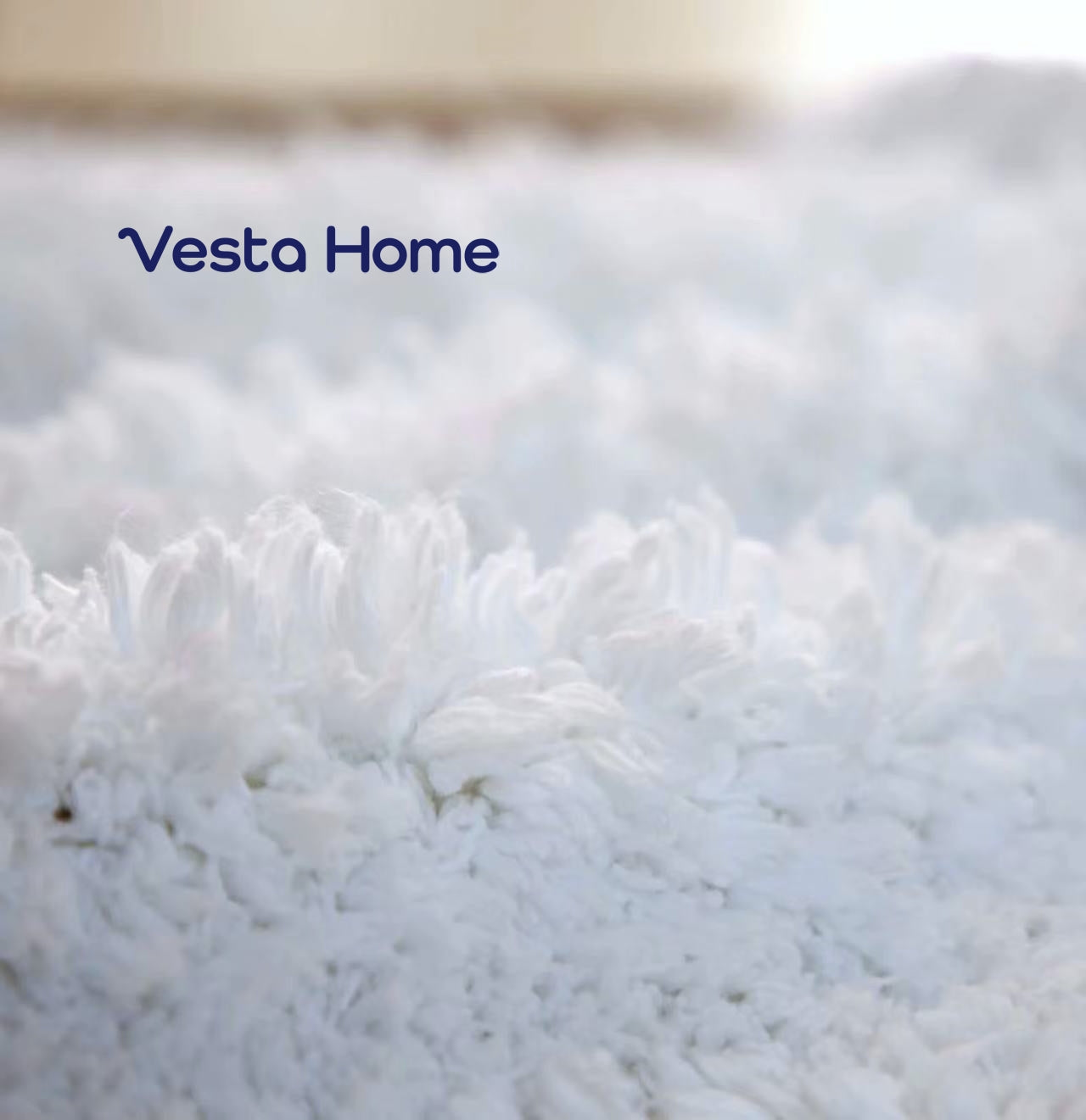 Vesta Home Thickened carpet mat