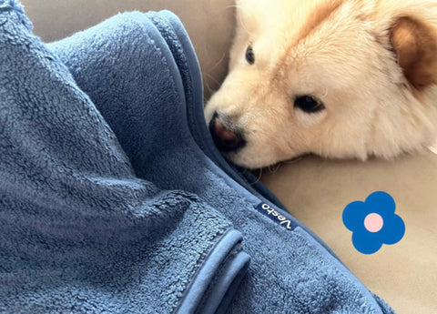 Bath Move-in Bundles