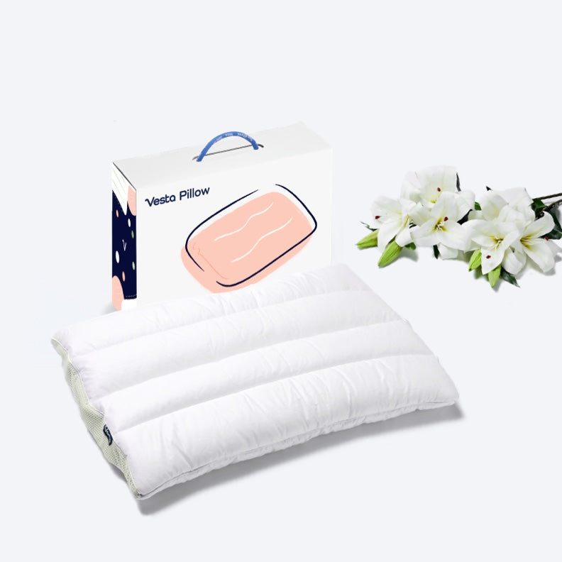 Silk-filled Pillow