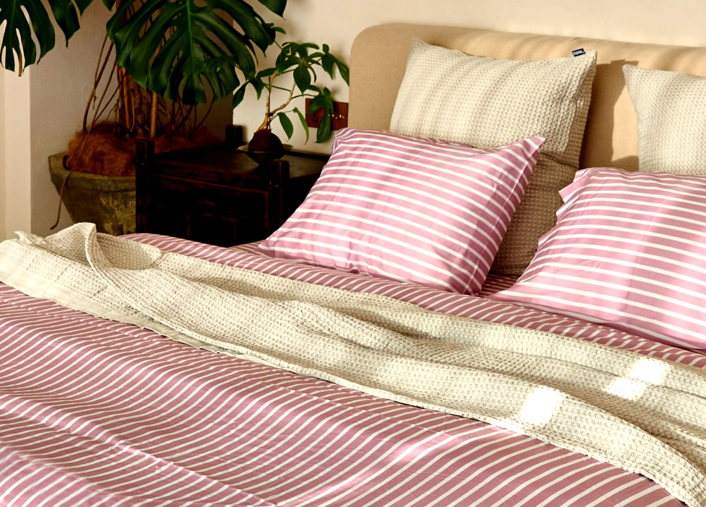 Aesthetic Meets Everyday Use