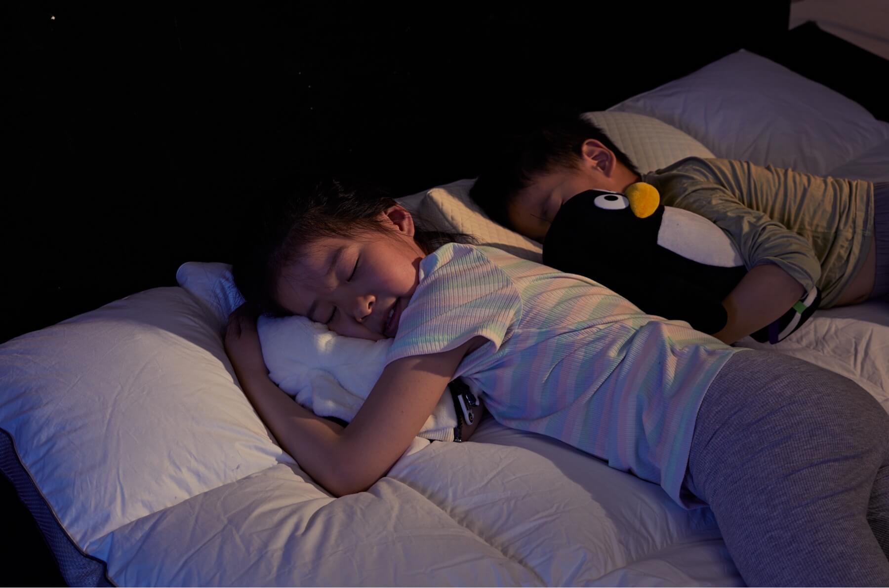 Pure Comfort, Zero Allergens.