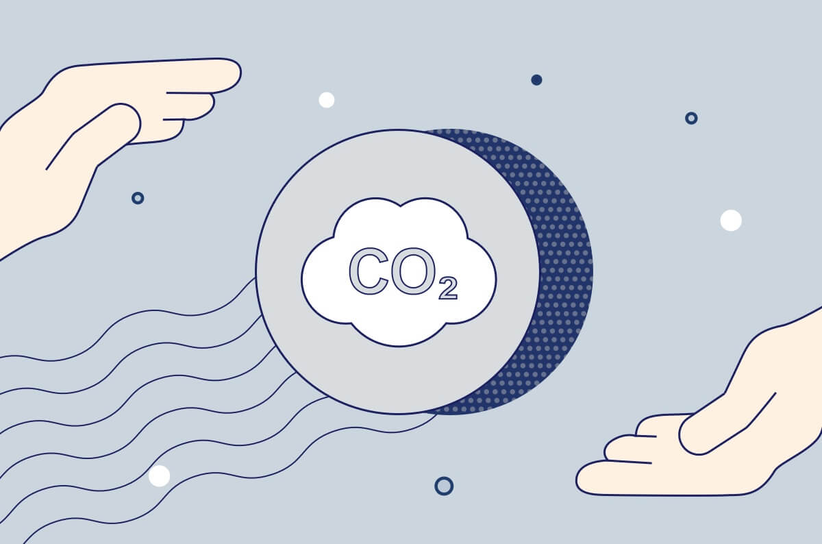 CO2 Offsets