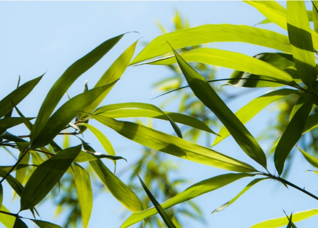 70% Less Chemical Fertilizer