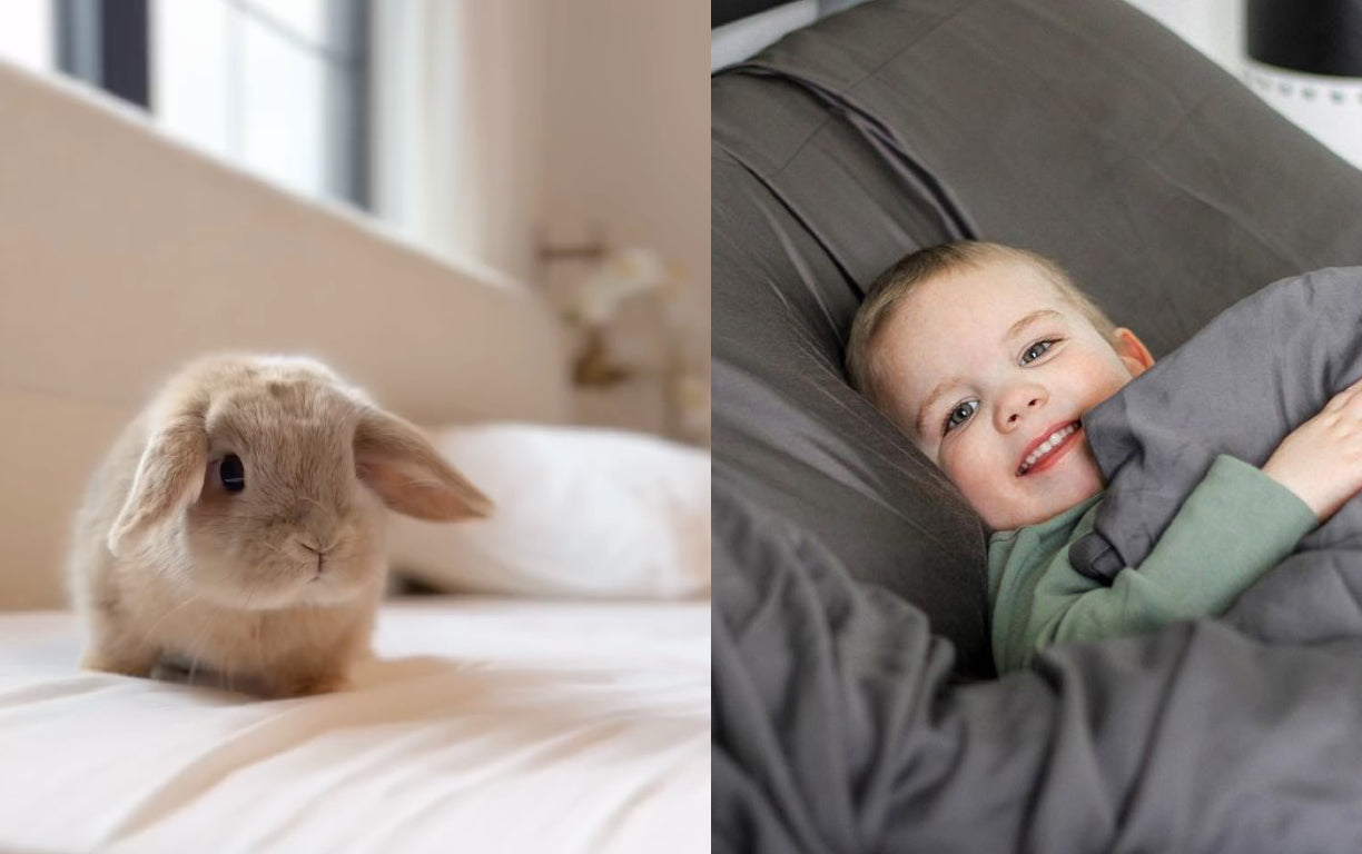 Vesta Sleep has the best quality products
