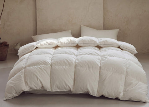 Down Comforter