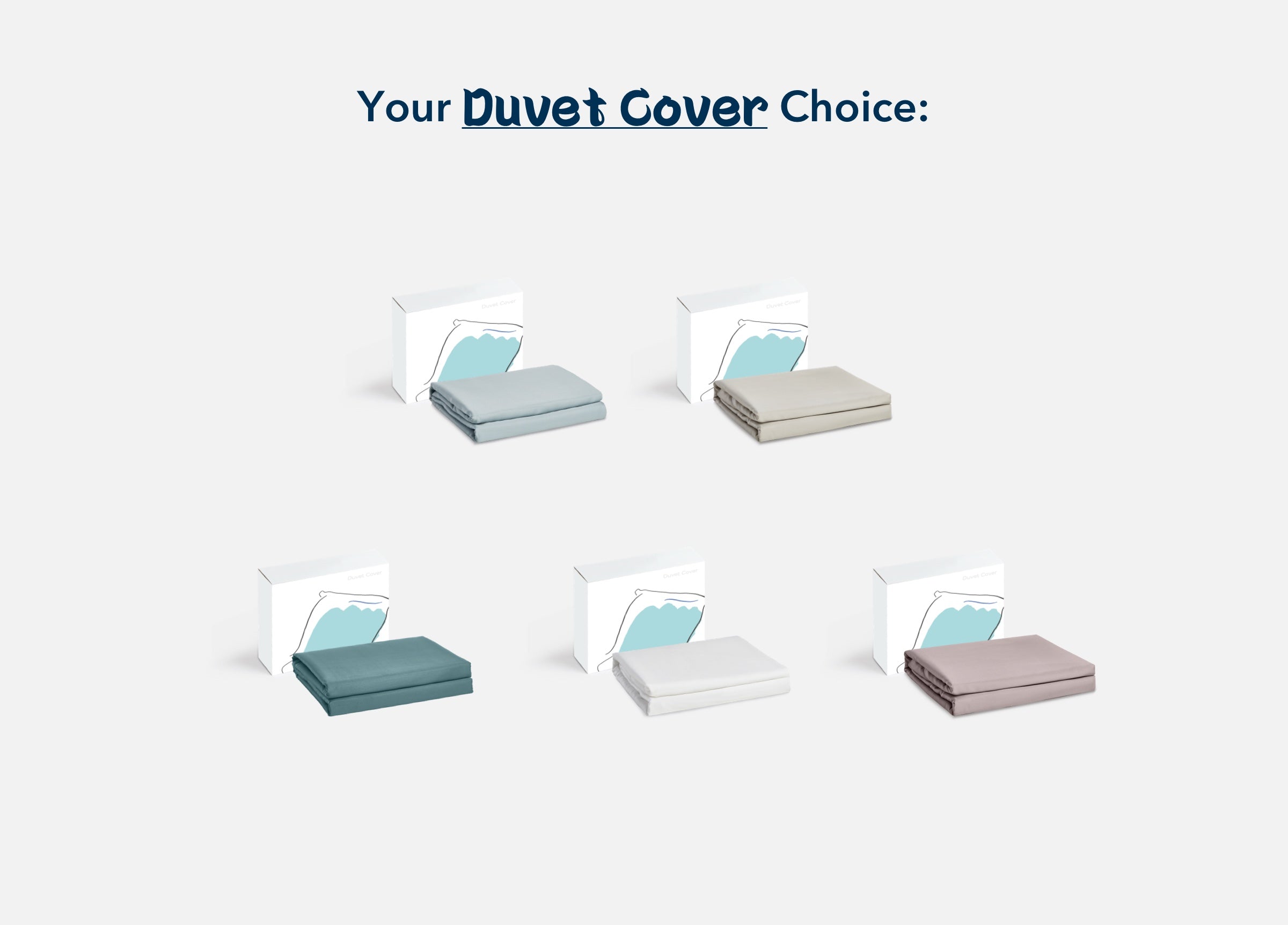 Eucalyptus Starter Bundle