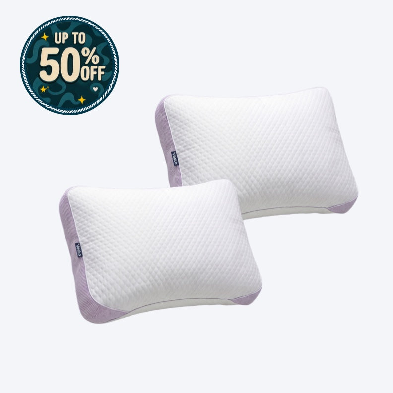 2x Vegan Down Pillow