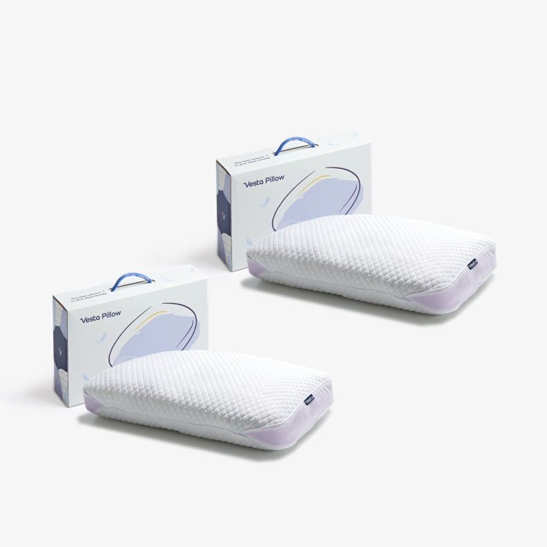 2x Vegan Down Pillow
