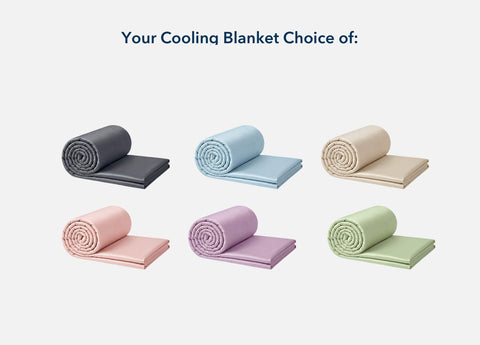 8-Pc Four Seasons Bundle