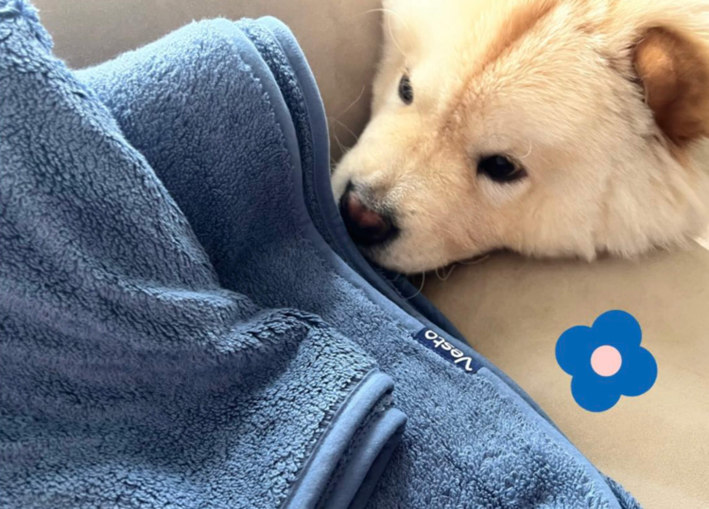 Bath Move-in Bundles