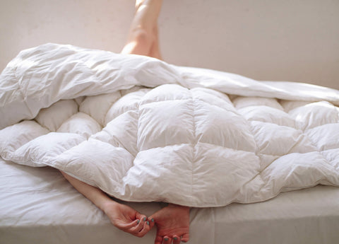 Down Comforter
