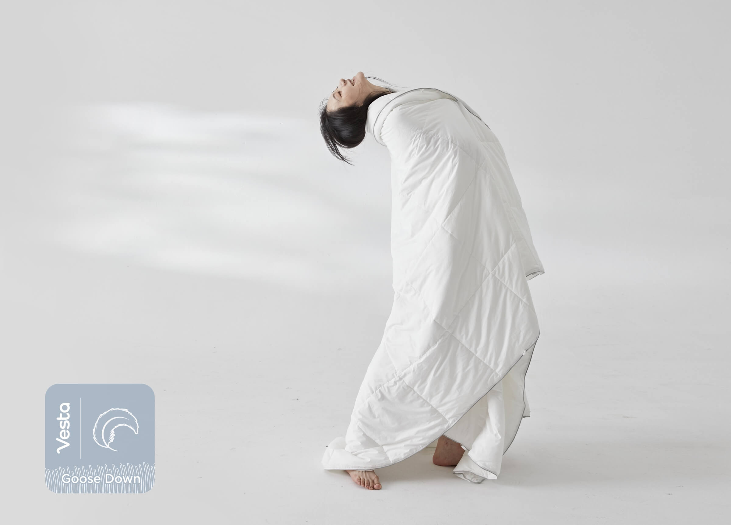 Hungarian Down All-Season Comforter