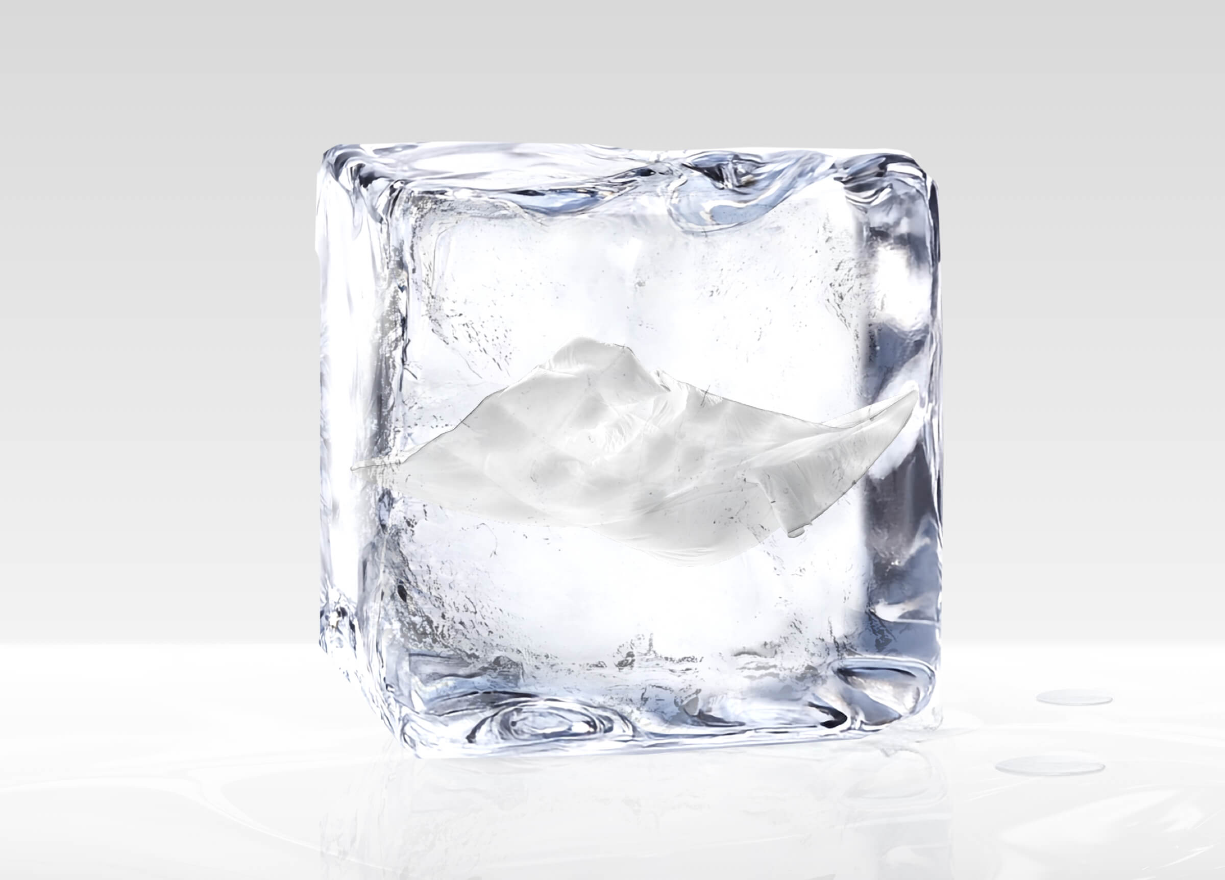 Hungarian Goose Down Lightweight Cooling Blanket