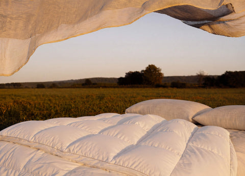 Goose Down Comforter