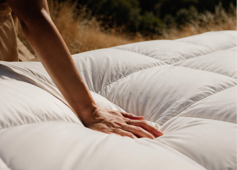 Goose Down Comforter