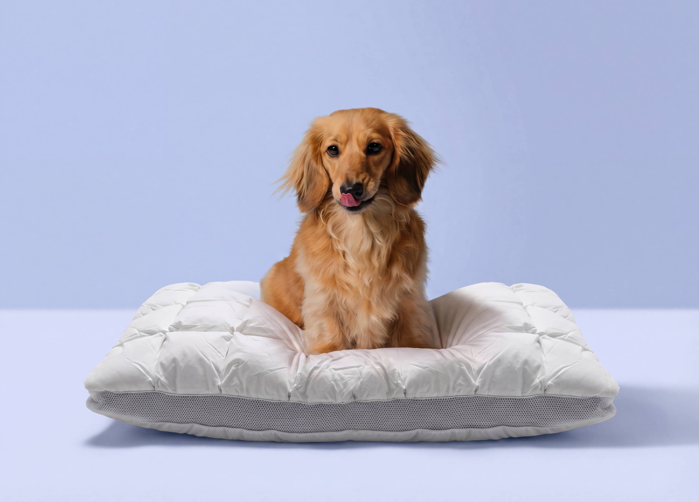 PlumZen™ Goose Down Pillow