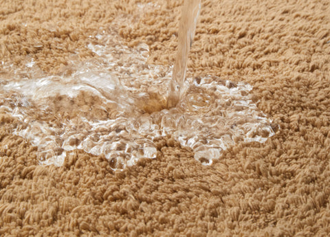 Plush Cotton Bath Rug