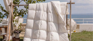 Hungarian Down All-Season Comforter