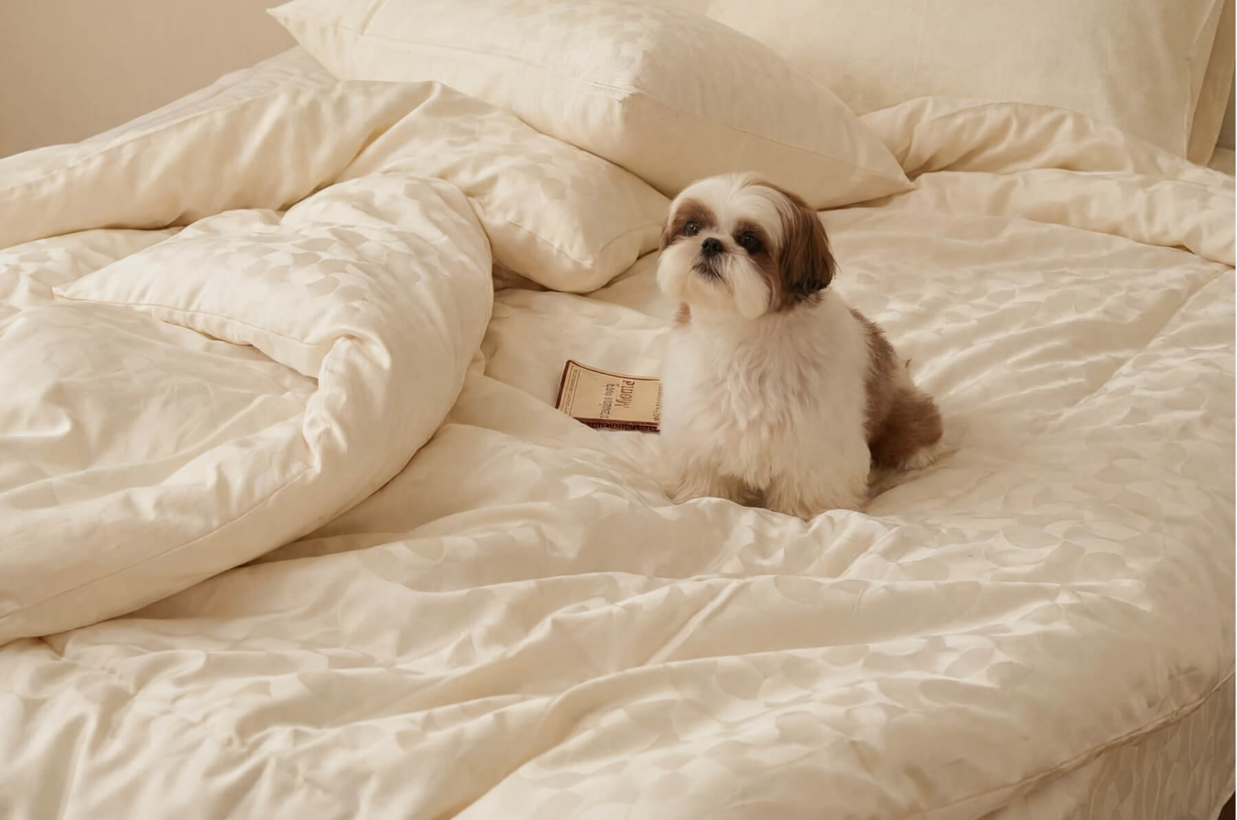 Made for Everyday Sleep