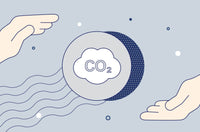 CO2 Offsets