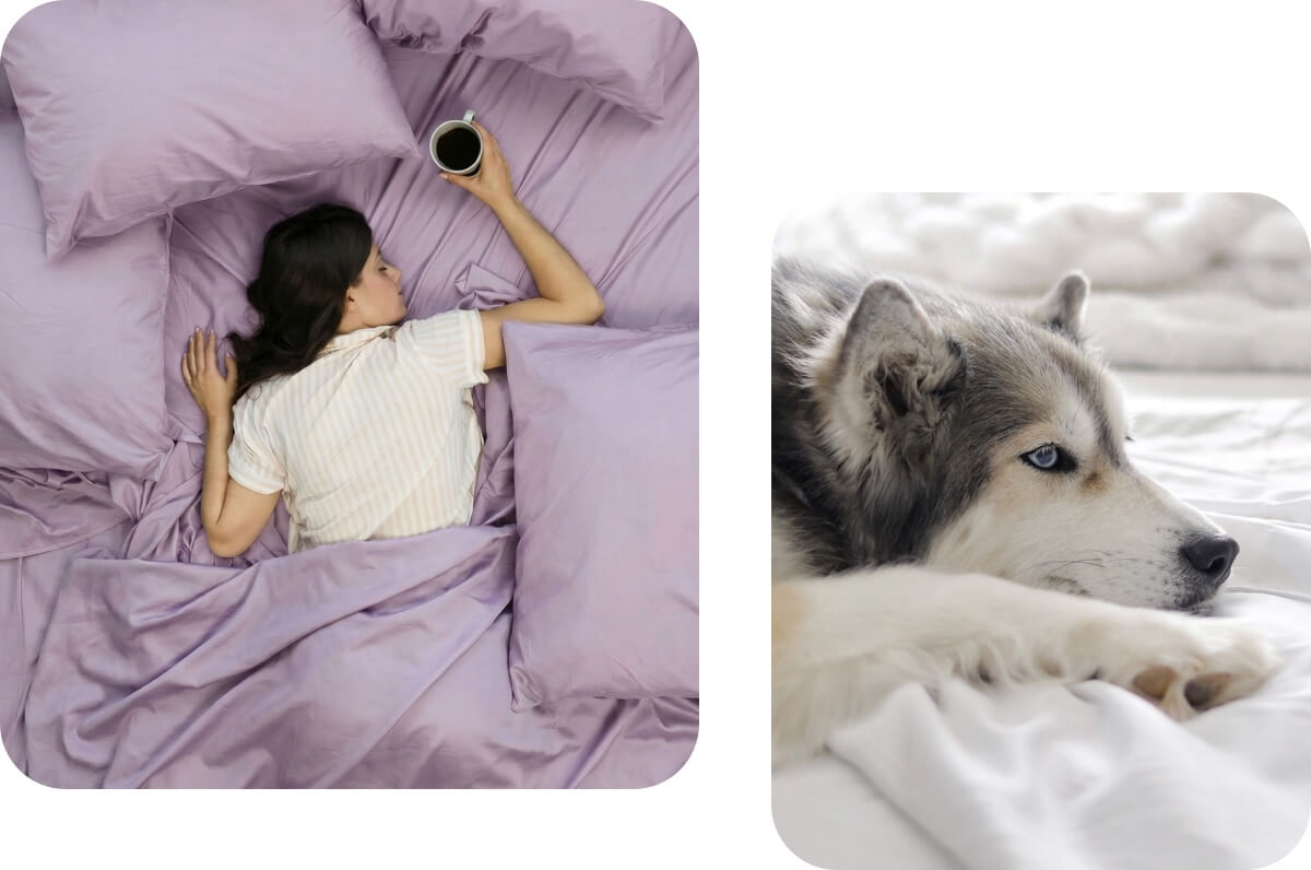 Fresh Bed Energy, On Repeat