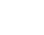 Global Air Shipping